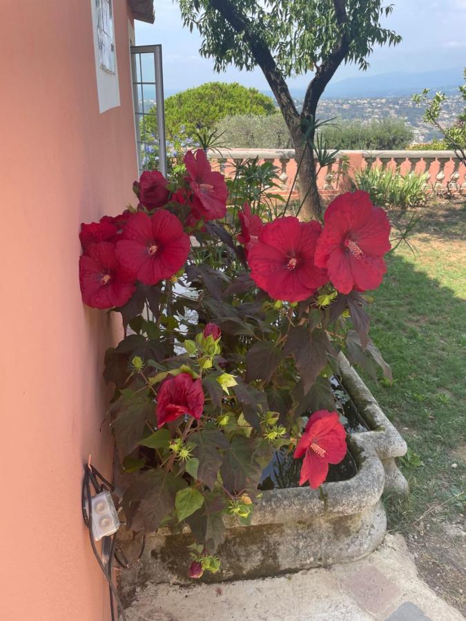 نيس Chambre D'Hotes A L'Ancre Marine De La Villa Rose المظهر الخارجي الصورة